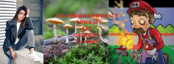 mdma Краснослободск