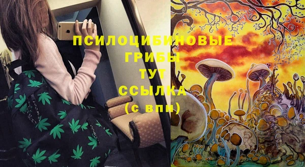 спиды Гвардейск