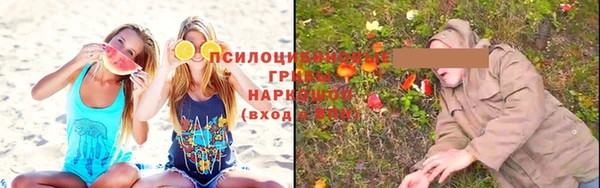 ешки Галич