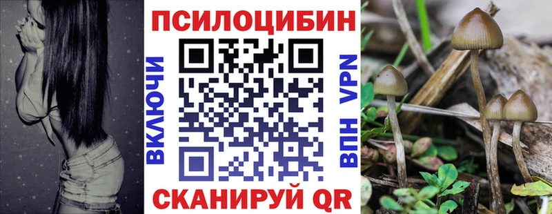 где продают ссылка на мегу сайт Галлюциногенные грибы Cubensis Мамоново